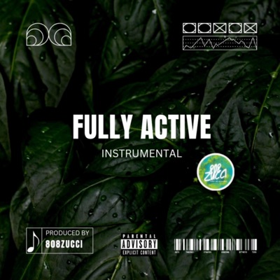 Fully Active - Single