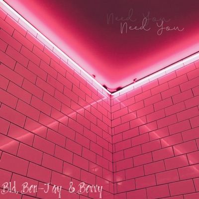 Need You (feat. Ben-Jay & Berry Vybes) - Single