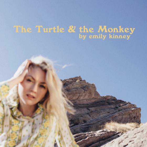 Cover artwork for The Turtle and the Monkey
