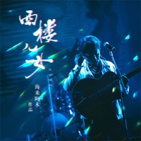 西楼儿女 (DJ彭锐版) - Single - Hai Lai Amu