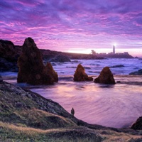 Hyrule Field - Single - Omaure