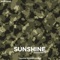 Sunshine (feat. Sikander Kahlon) - Sound Shikari lyrics