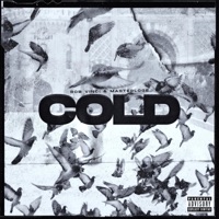 Cold (feat. Rob Vinci) - Single - Masterloge