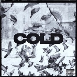 Cold (feat. Rob Vinci) Masterloge