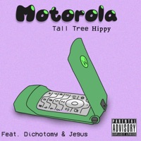 Motorola (feat. Dichotomy & Jegus) - Single - Tall Tree Hippy