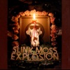 Slink Moss Explosion, 2004