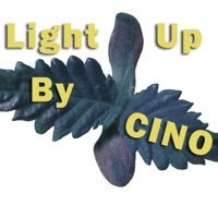 Light Up - Single - Cinosabe