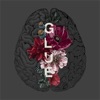 Glue - Single