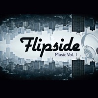 Flipside Music, Vol. 1 - Marcus Davis