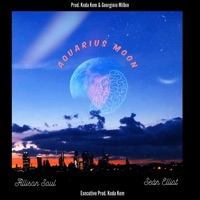 Aquarius Moon (feat. Allison Soul) - Single - Sean Elliot