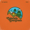 Colorado Evergreen - Single