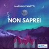 Non saprei - Single