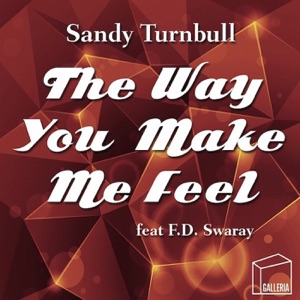 The Way You Make Me Feel - Single