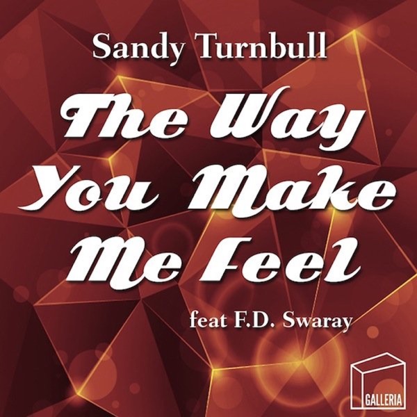 The Way You Make Me Feel - Single