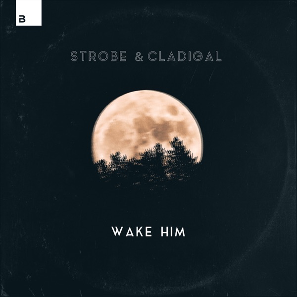 Wake Him - Single