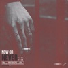 Now or Never - Single