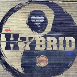 Hybrid (feat. Jk1) A-Rum