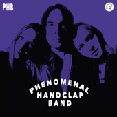 The Phenomenal Handclap Band - Do What You Like