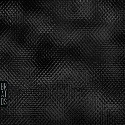 Plath Heart - Single - Braids