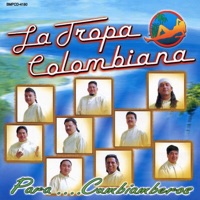 Mi Cachaguau