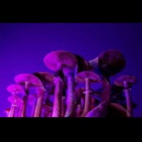 Out My Body - Single - ChiannRae