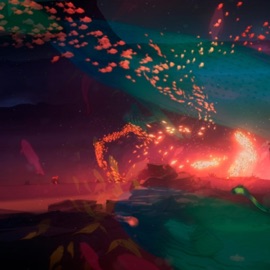 I Am Following (My Flip) Nit . Issues