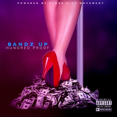 Bandz Up - Single