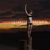 Amanda Palmer - Machete