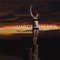 Drowning in the Sound - Amanda Palmer lyrics