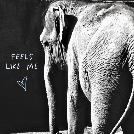 Cover artwork for Feels Like Me
