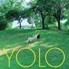 Yolo - Single