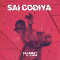 Sai Godiya (feat. S James) - Single - larabeey