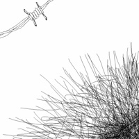 Lost - Single - Big Dimp