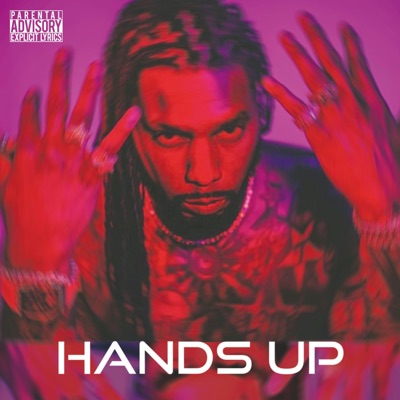 Hands Up (feat. MoneyBo & Roadrunner Jahu) - Single