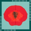 Bloodflow by Grandbrothers iTunes Track 3