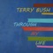 I Want To Be Happy - Terry Bush lyrics