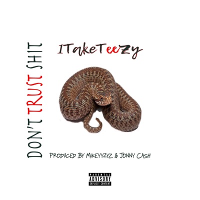 Don't Trust Shit - Single