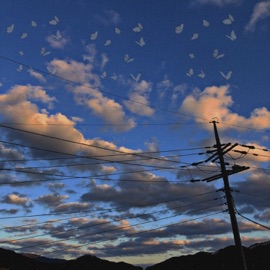 WHITE - White Butterfly (feat. 강정우 & FlexYoung) MIMON﻿G