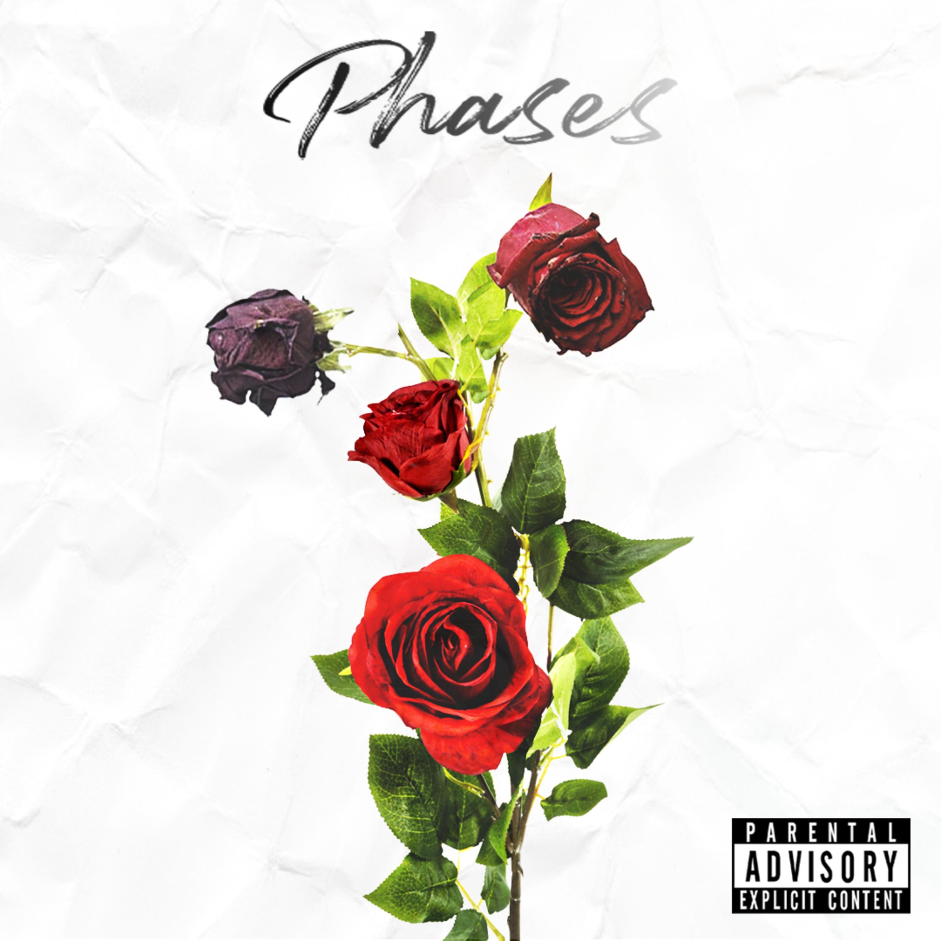 Phases - Single