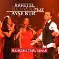 Bahcede Yesil Çinar
