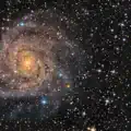 FX