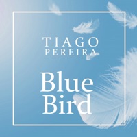 Blue Bird - Single - Tiago Pereira