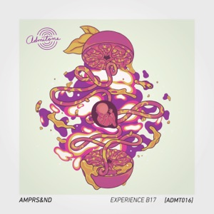 Experience B17 - Single
