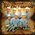 500 Novillos