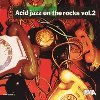 The Party — Voo Doo Phunk