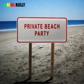Private Beach Party artwork