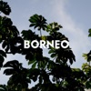 Rayito by Borneo iTunes Track 1