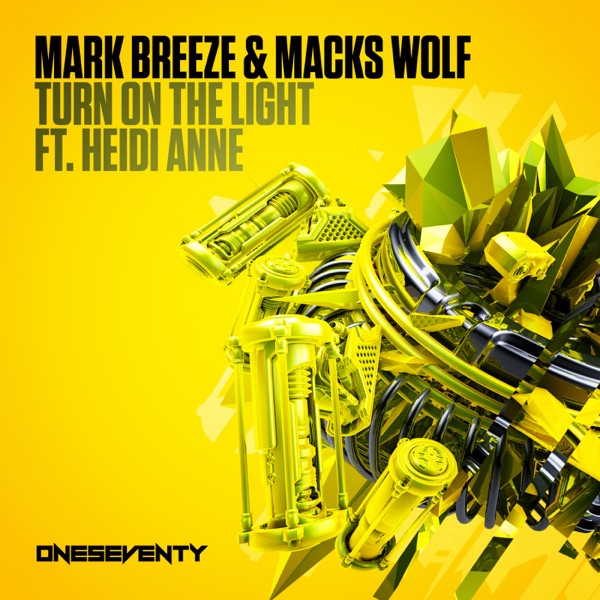 Turn On the Light (feat. Heidi Anne) - Single