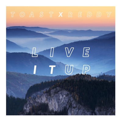 Live It Up (feat. ReddyMusic) - Single