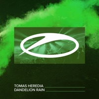 Dandelion Rain - Single - Tomas Heredia